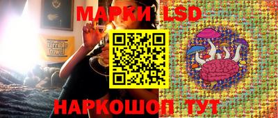 гашик Обнинск