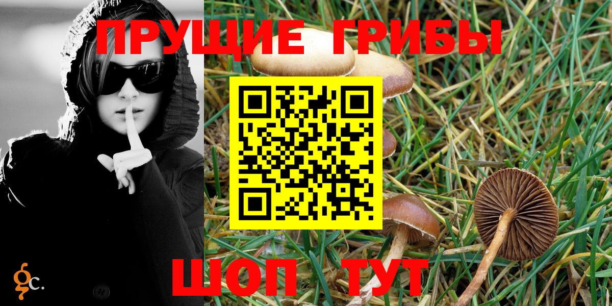 Галлюциногенные грибы MAGIC MUSHROOMS Ростов Великий