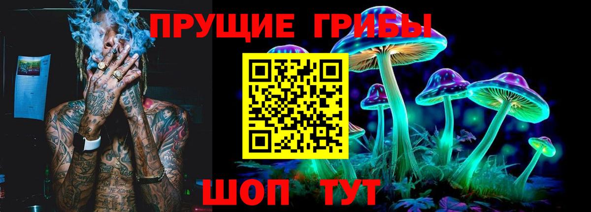 Галлюциногенные грибы Cubensis  Вход с VPN  Ростов Великий 